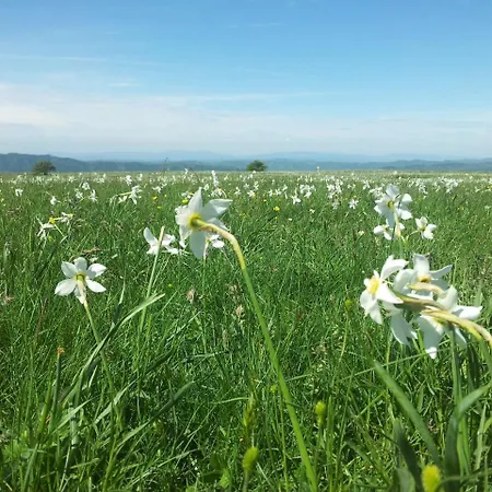 Σπίτι διακοπών Family In Cagli With Pool *